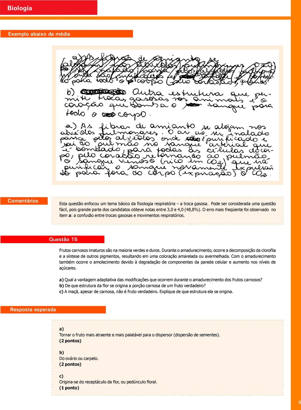 Durante o amadurecimento, ocorre a decomposição da clorofila e a síntese de outros pigmentos, resultando em uma coloração amarelada ou avermelhada.