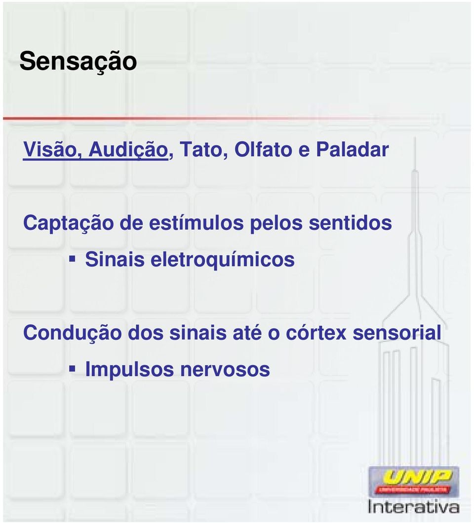 sentidos Sinais eletroquímicos Condução