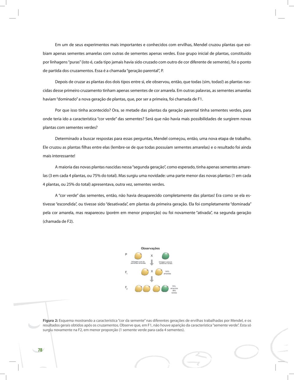 Essa é a chamada geração parental, P. Depois de cruzar as plantas dos dois tipos entre si, ele observou, então, que todas (sim, todas!