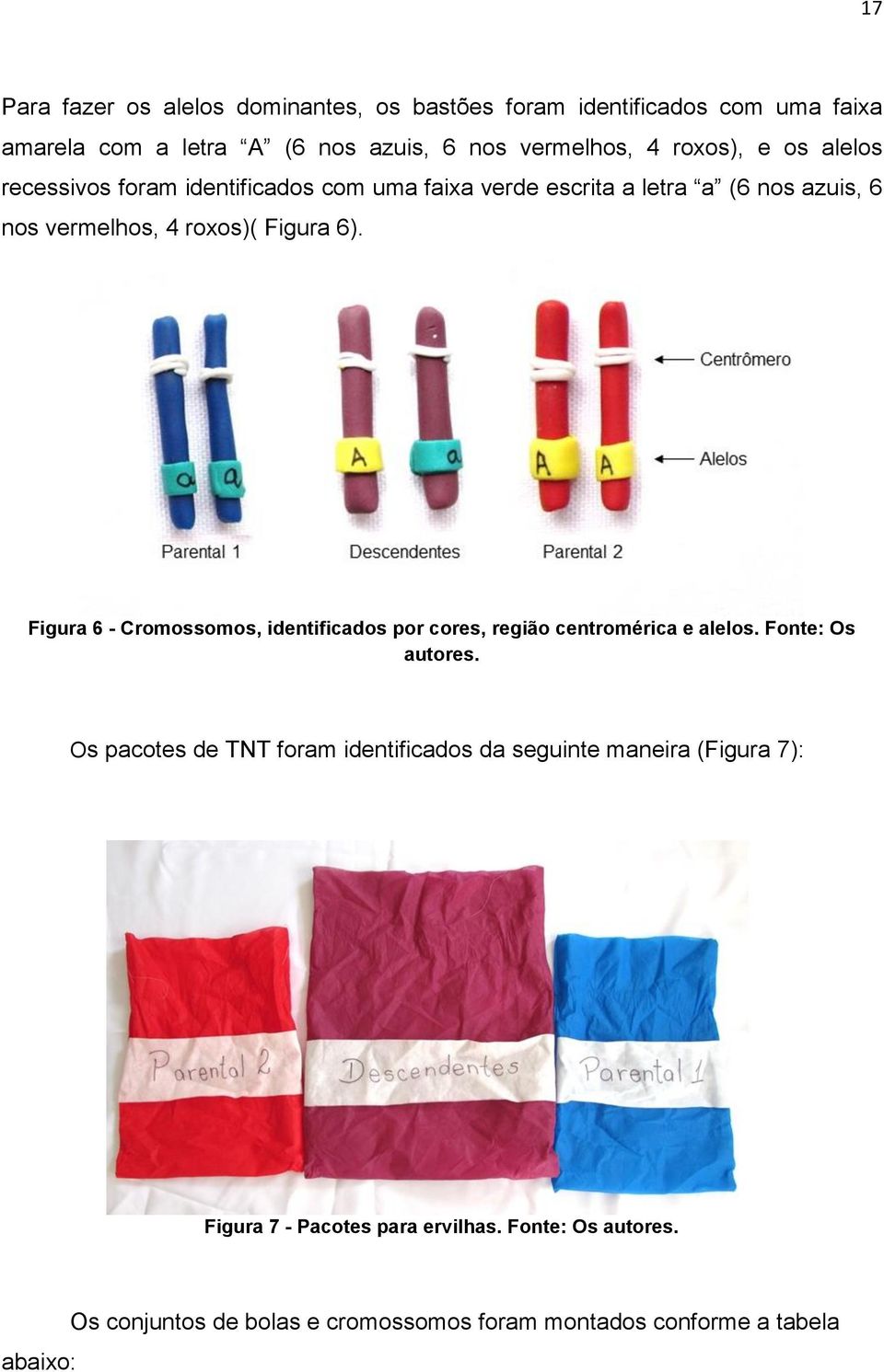 Figura 6 - Cromossomos, identificados por cores, região centromérica e alelos. Fonte: Os autores.