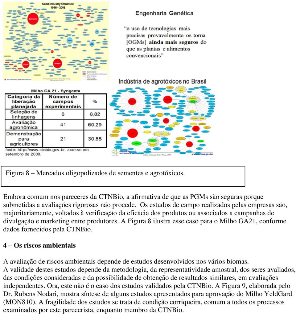 A Figura 8 ilustra esse caso para o Milho GA21, conforme dados fornecidos pela CTNBio. 4 Os riscos ambientais A avaliação de riscos ambientais depende de estudos desenvolvidos nos vários biomas.