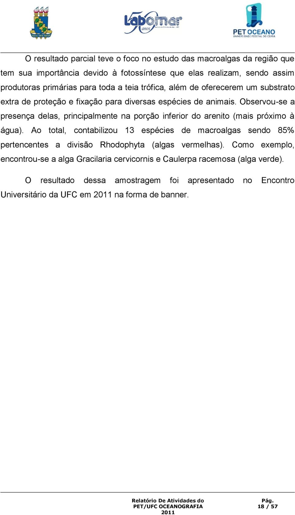 Observou-se a presença delas, principalmente na porção inferior do arenito (mais próximo à água).