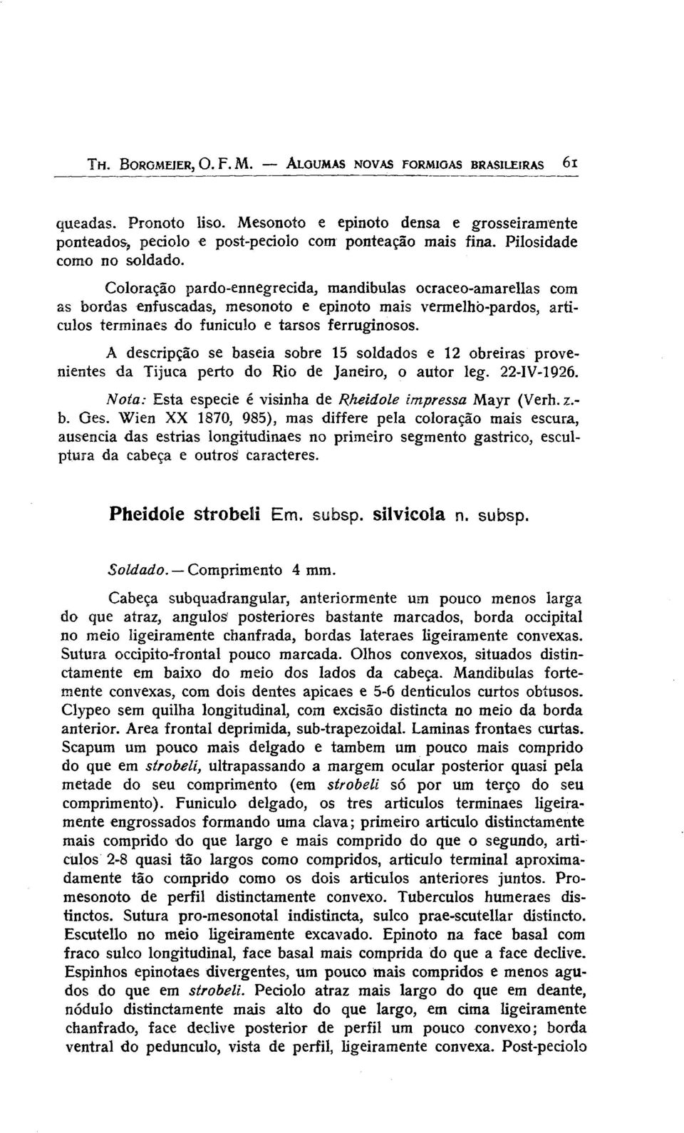 Coloração pardo-ennegrecida, mandibulas ocraceo-amarellas com as bordas enfuscadas, mesonoto e epinoto mais vermelhò-pardos, artículos terminaes do funiculo e tarsos ferruginosos.