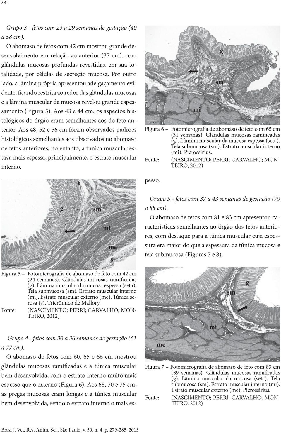 Por outro lado, a lâmina própria apresentou adelgaçamento evidente, ficando restrita ao redor das glândulas mucosas e a lâmina muscular da mucosa revelou grande espessamento (Figura 5).