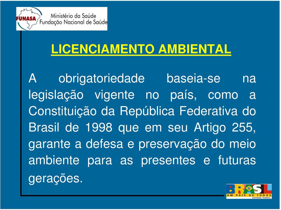 Brasil de 1998 que em seu Artigo 255, garante a defesa e
