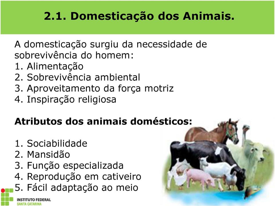 Sobrevivência ambiental 3. Aproveitamento da força motriz 4.