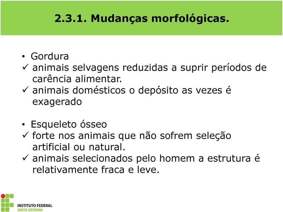 animais domésticos o depósito as vezes é exagerado Esqueleto ósseo forte nos