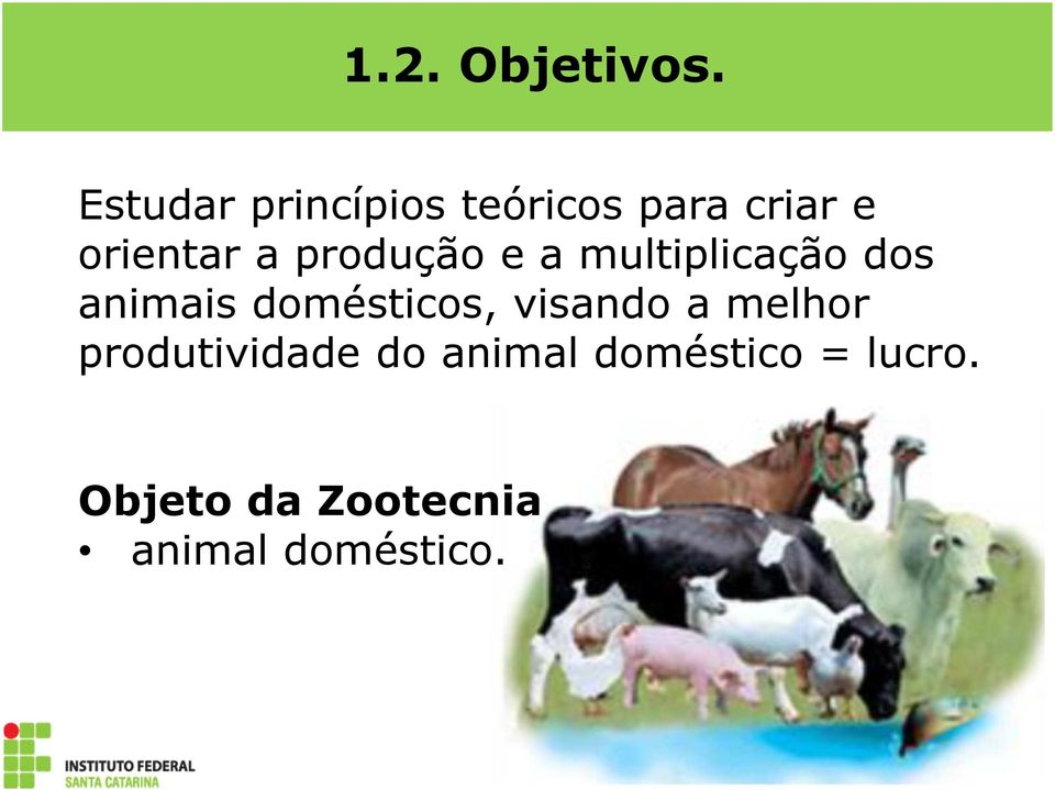 produção e a multiplicação dos animais domésticos,