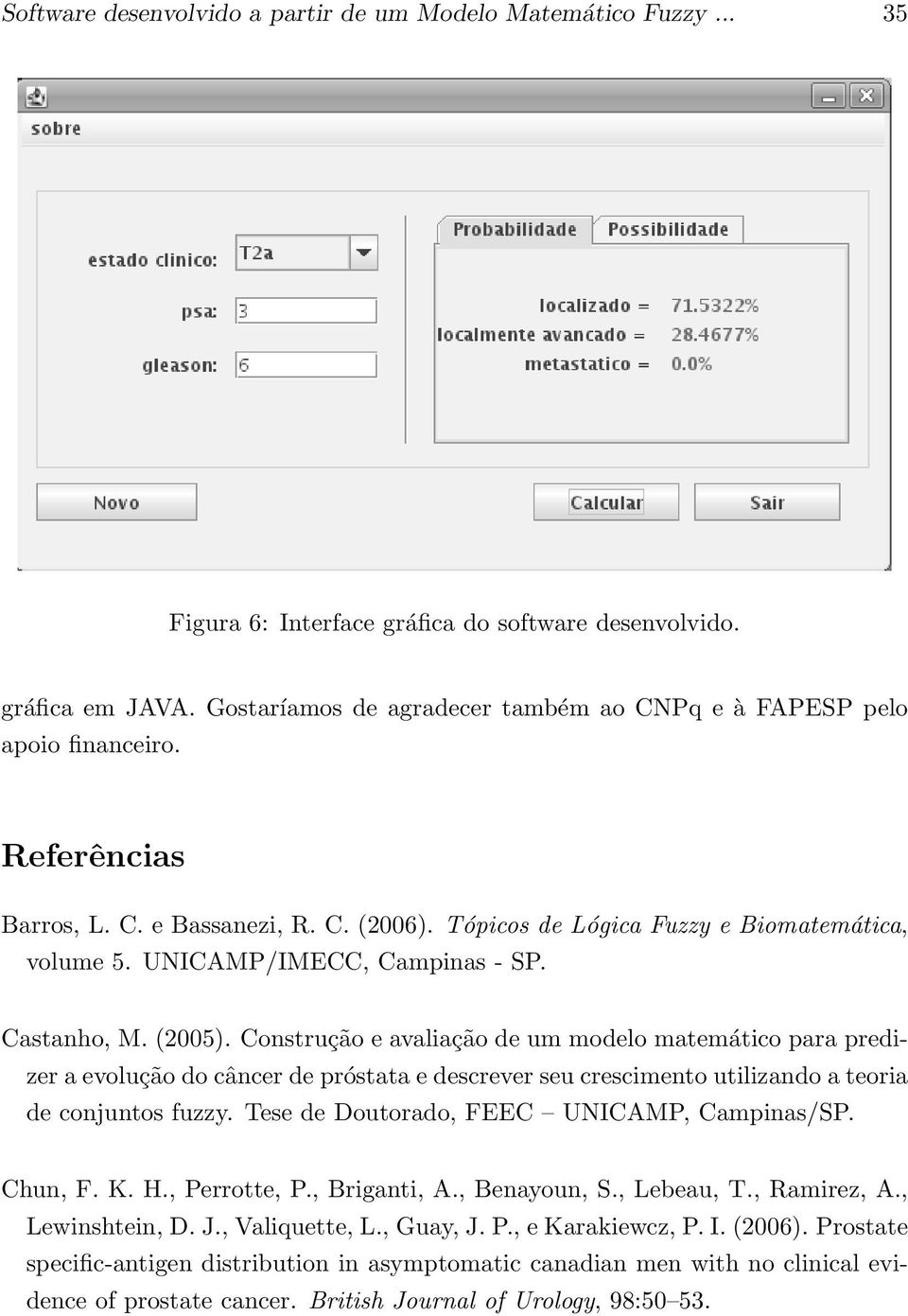 UNICAMP/IMECC, Campinas - SP. Castanho, M. (2005).