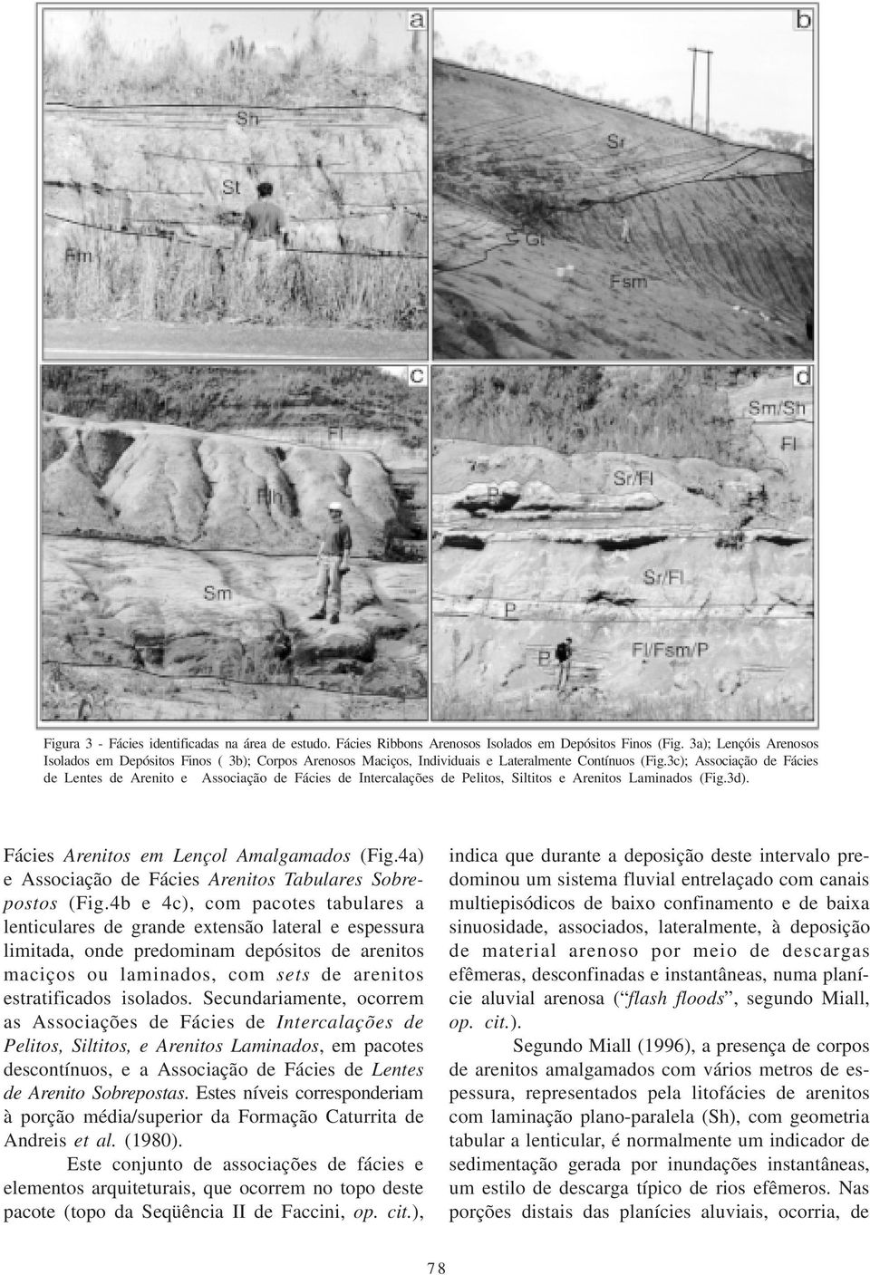 3c); Associação de Fácies de Lentes de Arenito e Associação de Fácies de Intercalações de Pelitos, Siltitos e Arenitos Laminados (Fig.3d). Fácies Arenitos em Lençol Amalgamados (Fig.