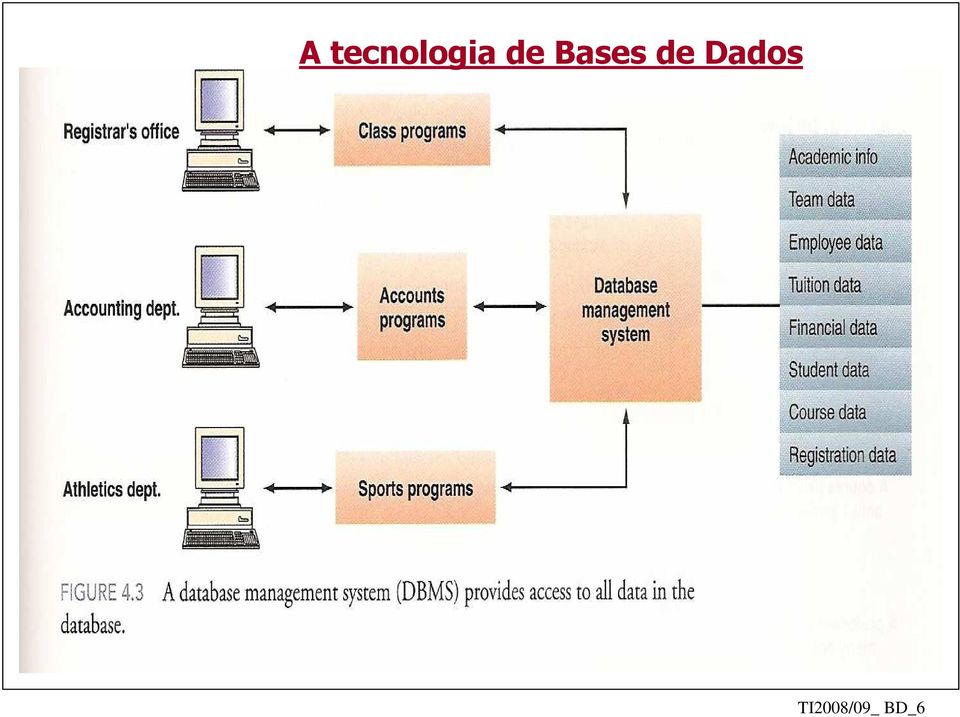 de Bases de