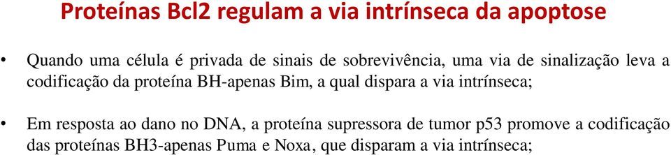 qual dispara a via intrínseca; Em resposta ao dano no DNA, a proteína supressora de tumor