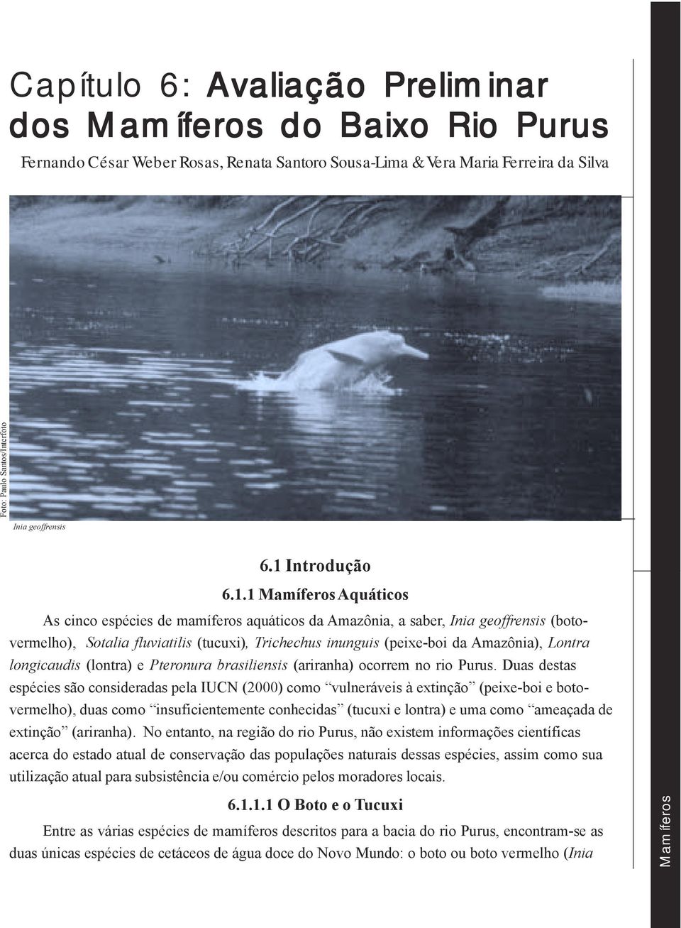 Amazônia), Lontra longicaudis (lontra) e Pteronura brasiliensis (ariranha) ocorrem no rio Purus.