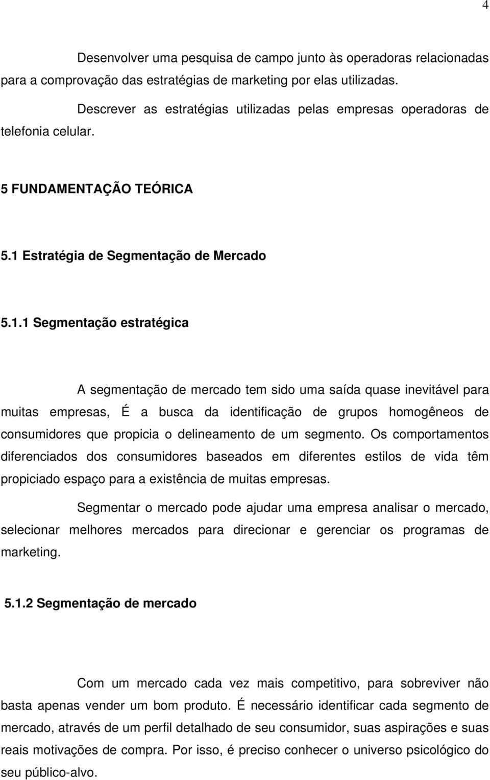 Estratégia de Segmentação de Mercado 5.1.