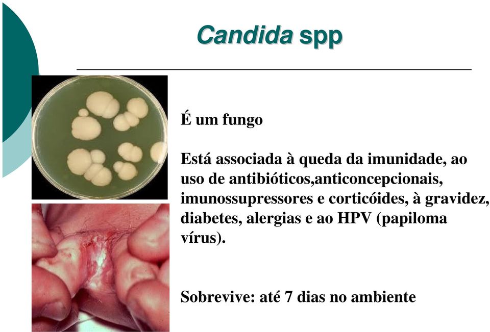 imunossupressores e corticóides, à gravidez, diabetes,