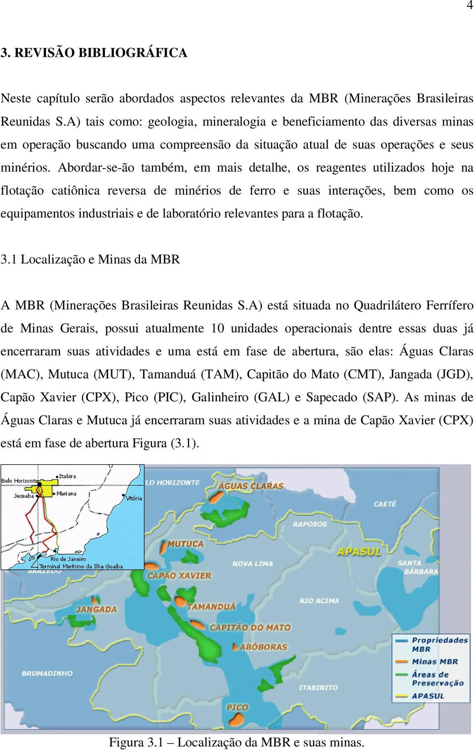 Abordar-se-ão também, em mais detalhe, os reagentes utilizados hoje na flotação catiônica reversa de minérios de ferro e suas interações, bem como os equipamentos industriais e de laboratório