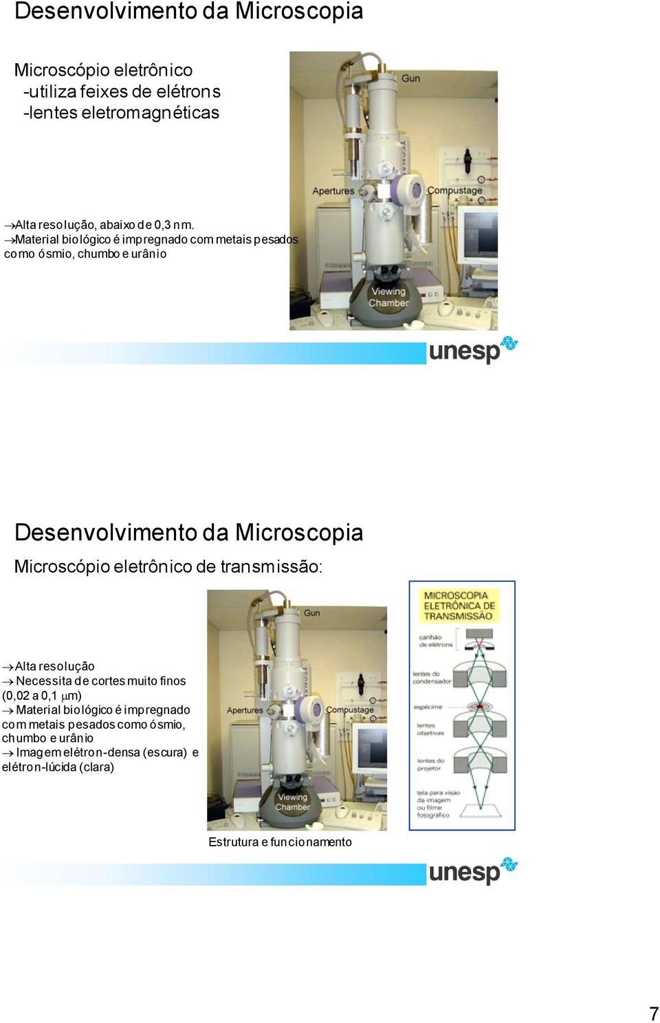Material biológico é impregnado com metais pesados como ósmio, chumbo e urânio Desenvolvimento da Microscopia Microscópio