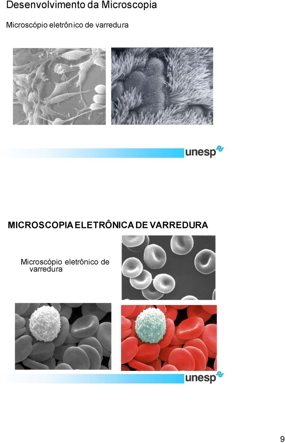 varredura MICROSCOPIA ELETRÔNICA