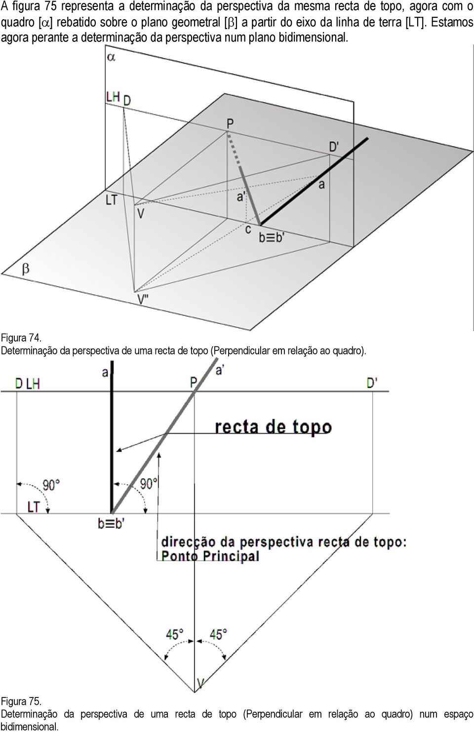 Estamos agora perante a determinação da perspectiva num plano bidimensional. Figura 74.