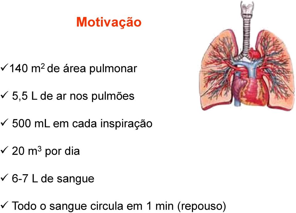 inspiração 20 m 3 por dia 6-7 L de