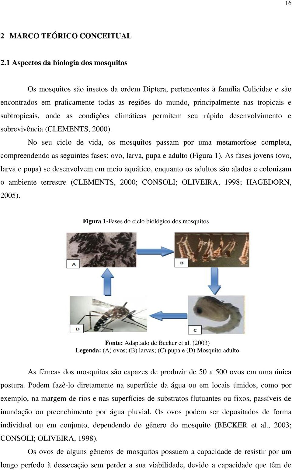 tropicais e subtropicais, onde as condições climáticas permitem seu rápido desenvolvimento e sobrevivência (CLEMENTS, 2000).