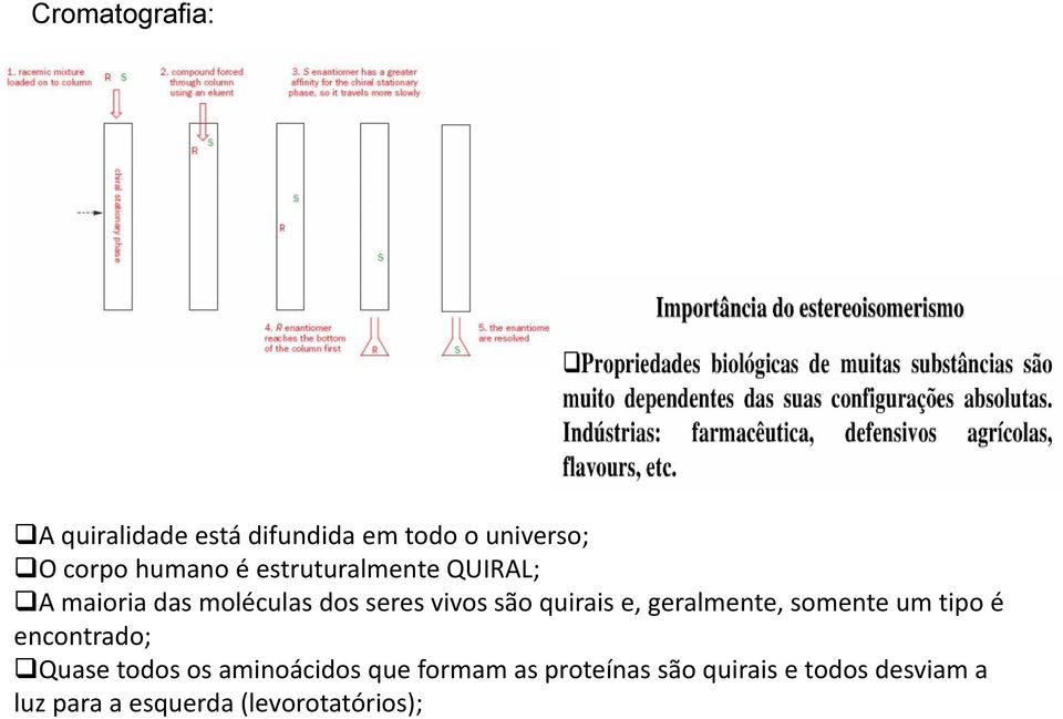 e, geralmente, somente um tipo é encontrado; Quase todos os aminoácidos que