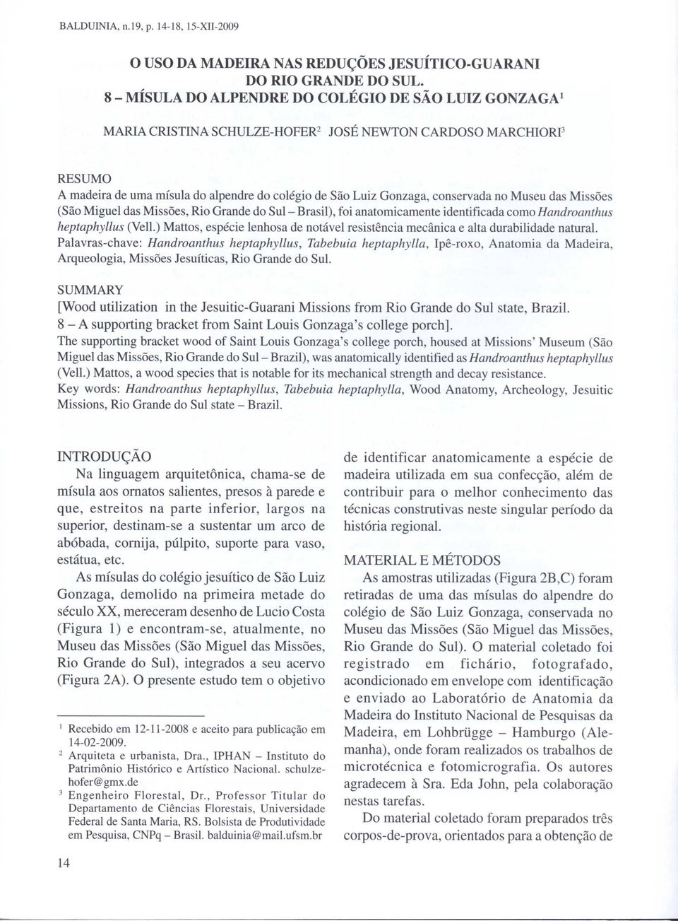 conservada no Museu das Missões (São Miguel das Missões, Rio Grande do Sul- Brasil), foi anatomicamente identificada como Handroanthus heptaphyllus (Vell.