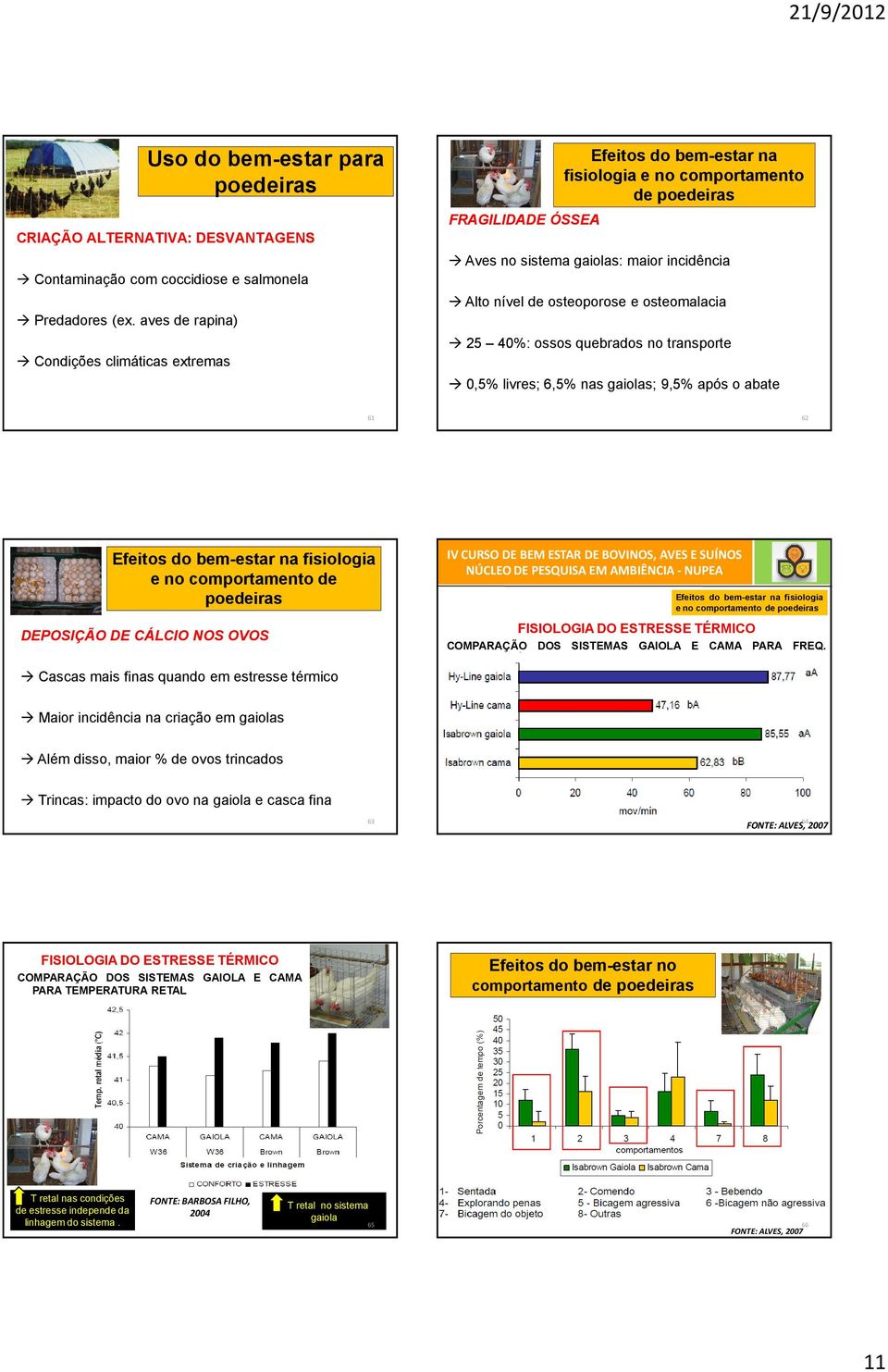 osteoporose e osteomalacia 25 40%: ossos quebrados no transporte 0,5% livres; 6,5% nas gaiolas; 9,5% após o abate 61 62 Efeitos do bem-estar na fisiologia e no comportamento de DEPOSIÇÃO DE CÁLCIO