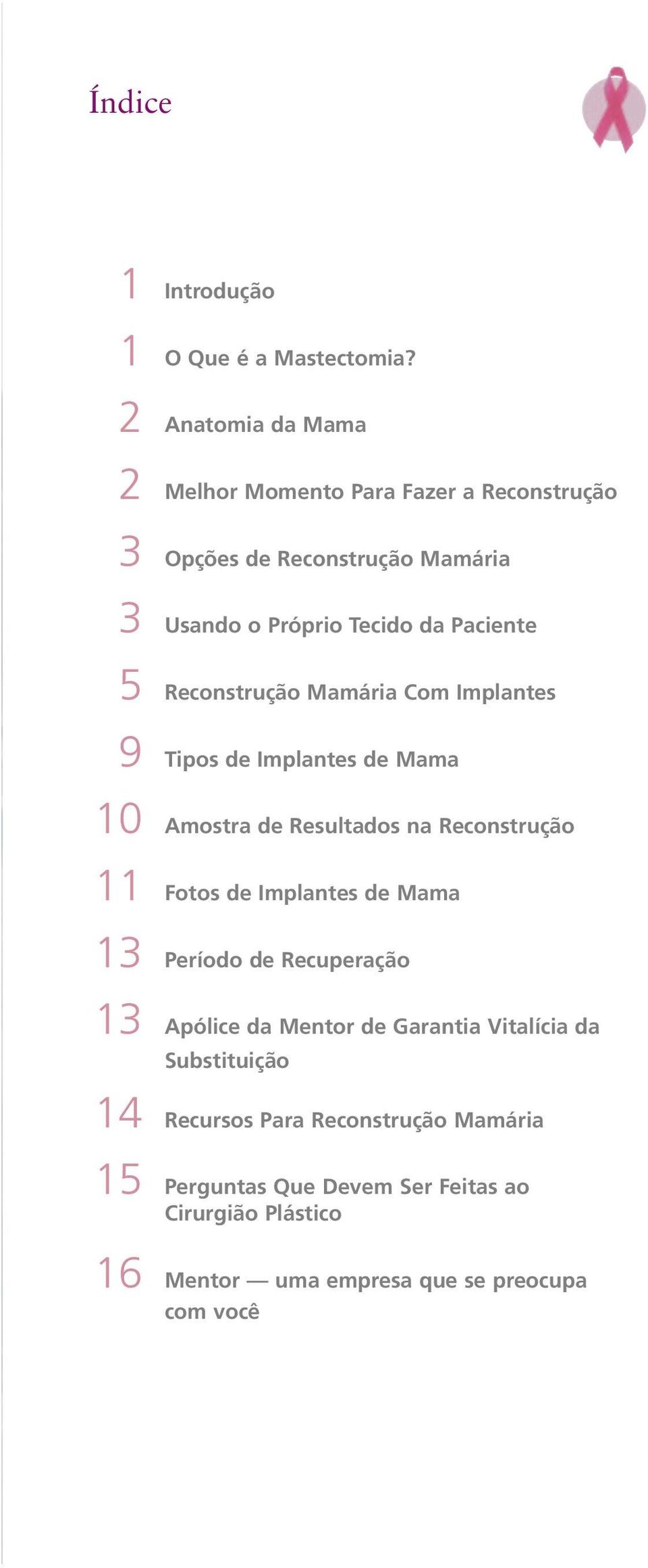 Reconstrução Mamária Com Implantes 9 Tipos de Implantes de Mama 10 Amostra de Resultados na Reconstrução 11 Fotos de Implantes de Mama
