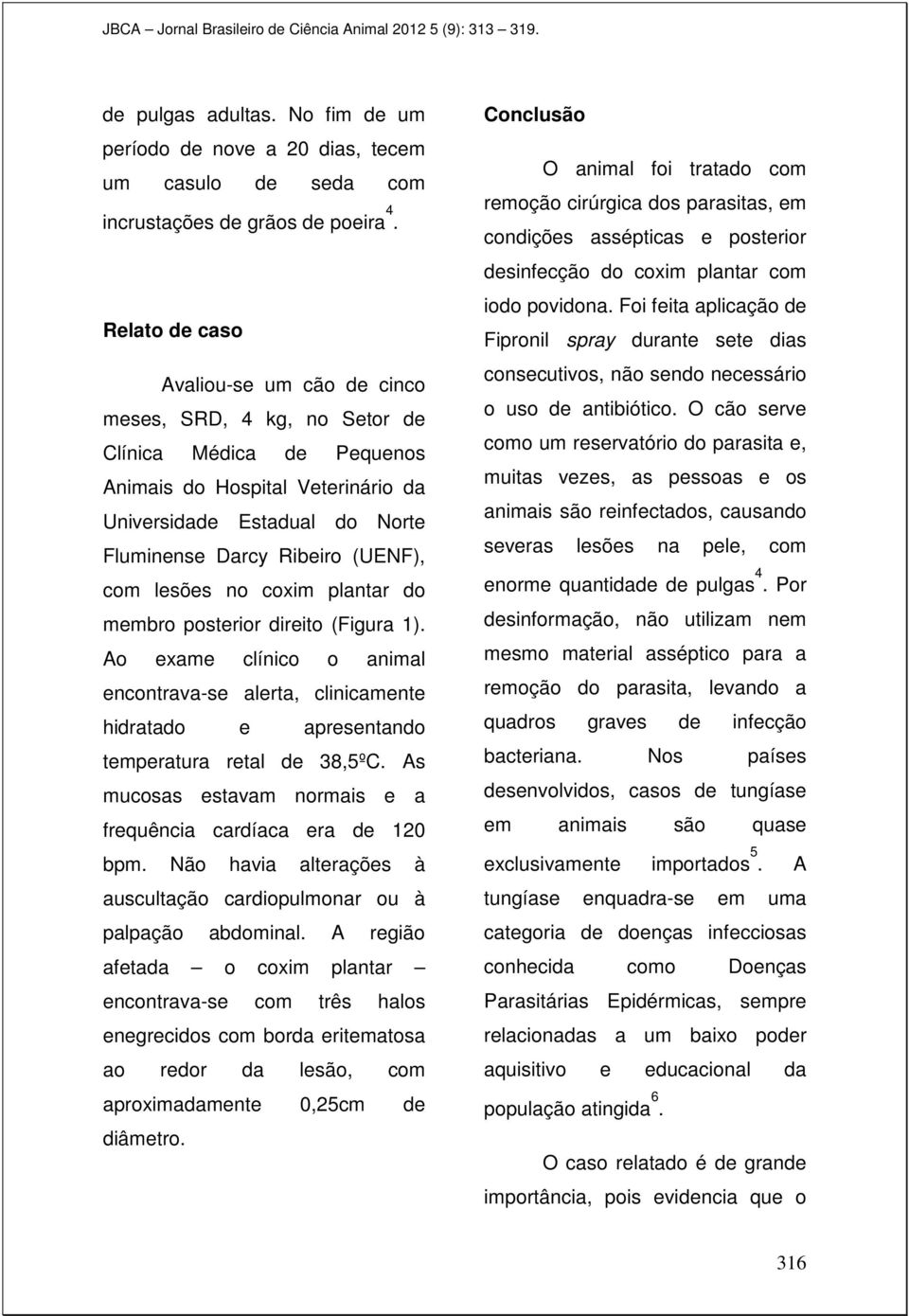 com lesões no coxim plantar do membro posterior direito (Figura 1). Ao exame clínico o animal encontrava-se alerta, clinicamente hidratado e apresentando temperatura retal de 38,5ºC.