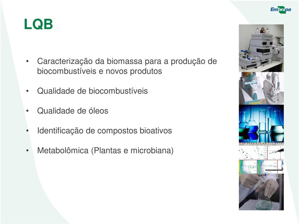 biocombustíveis Qualidade de óleos Identificação