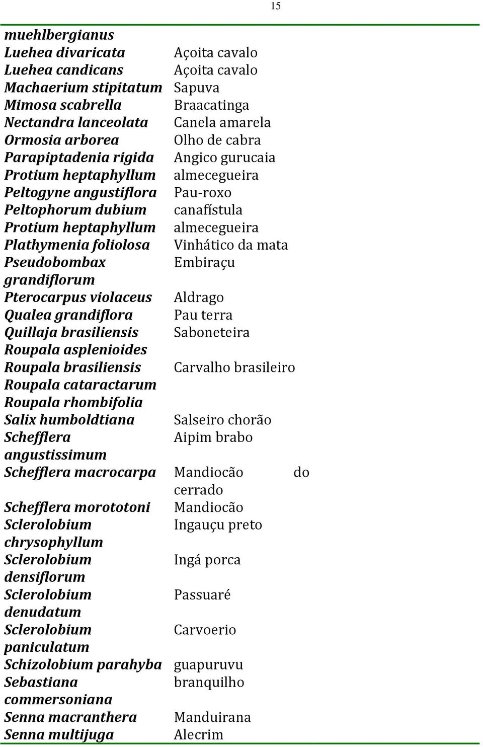 Vinhático da mata Pseudobombax Embiraçu grandiflorum Pterocarpus violaceus Aldrago Qualea grandiflora Pau terra Quillaja brasiliensis Saboneteira Roupala asplenioides Roupala brasiliensis Carvalho