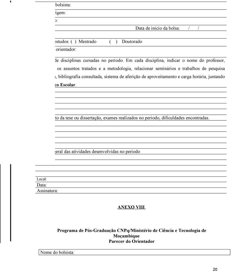 Em cada disciplina, indicar o nome do professor, descrever os assuntos tratados e a metodologia, relacionar seminários e trabalhos de pesquisa realizados, bibliografia consultada, sistema de