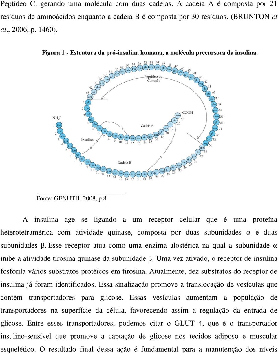 p.8. A insulina age se ligando a um receptor celular que é uma proteína heterotetramérica com atividade quinase, composta por duas subunidades α e duas subunidades β.