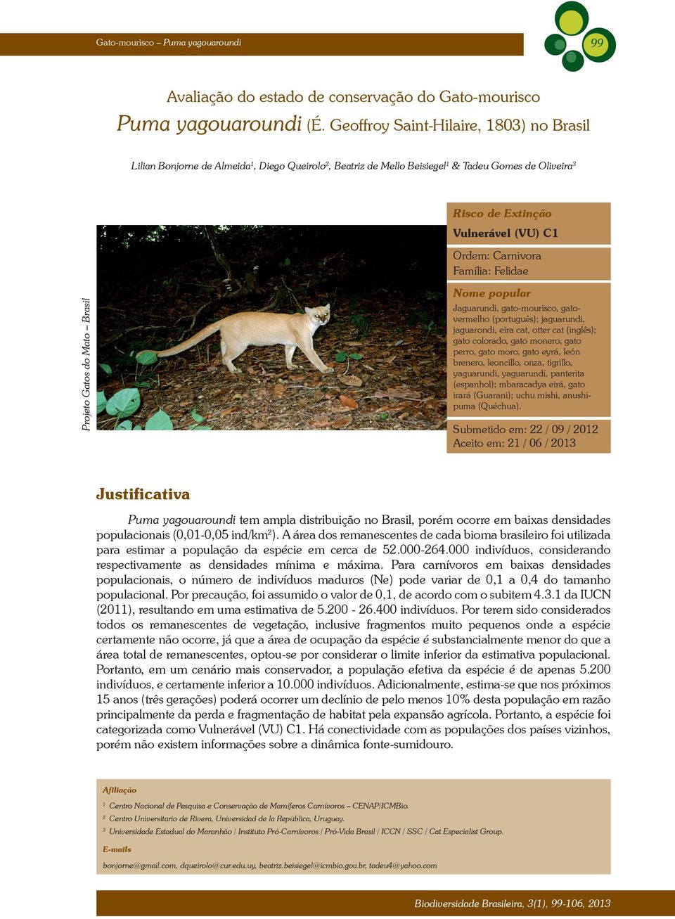 Família: Felidae Projeto Gatos do Mato Brasil Nome popular Jaguarundi, gato-mourisco, gatovermelho (português); jaguarundi, jaguarondi, eira cat, otter cat (inglês); gato colorado, gato monero, gato