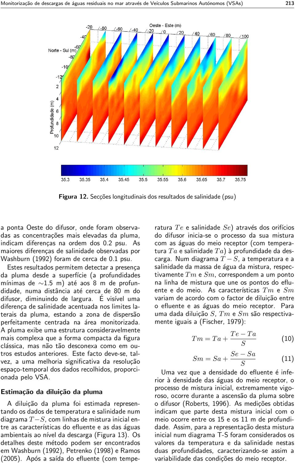 As maiores diferenças de salinidade observadas por Washburn (1992) foram de cerca de 0.1 psu. Estes resultados permitem detectar a presença da pluma desde a superfície (a profundidades mínimas de 1.