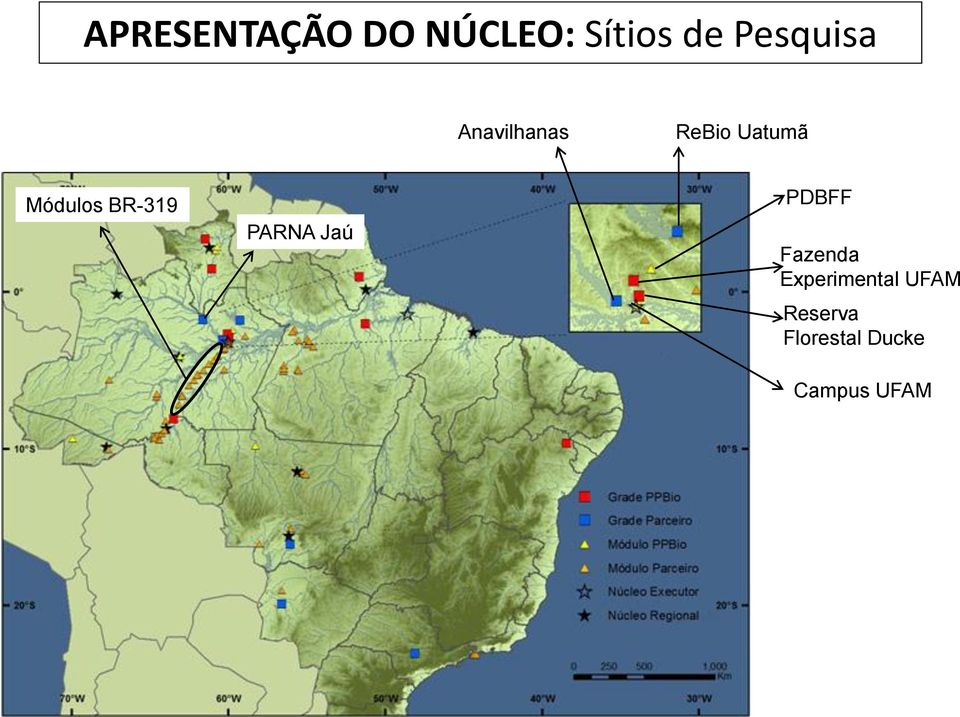 Módulos BR-319 PARNA Jaú PDBFF Fazenda