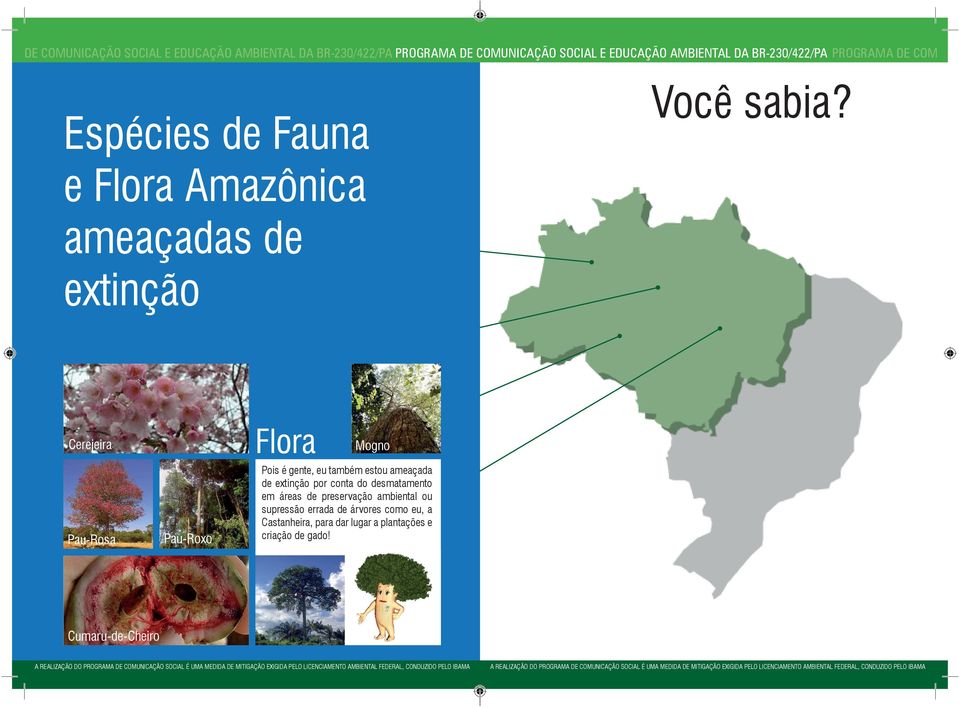 e Flora Amazônica ameaçadas de extinção erejeira Pau-Rosa Pau-Roxo Flora Mogno Pois é gente, eu também estou ameaçada
