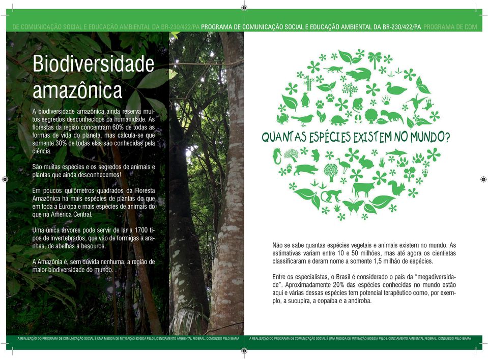 QUANTAS ESPÉIES EXISTEM NO MUNDO? São muitas espécies e os segredos de animais e plantas que ainda desconhecemos!