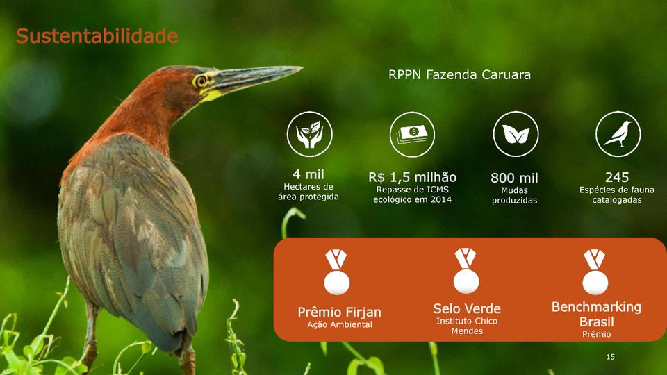 Mudas produzidas 245 Espécies de fauna catalogadas Prêmio Firjan