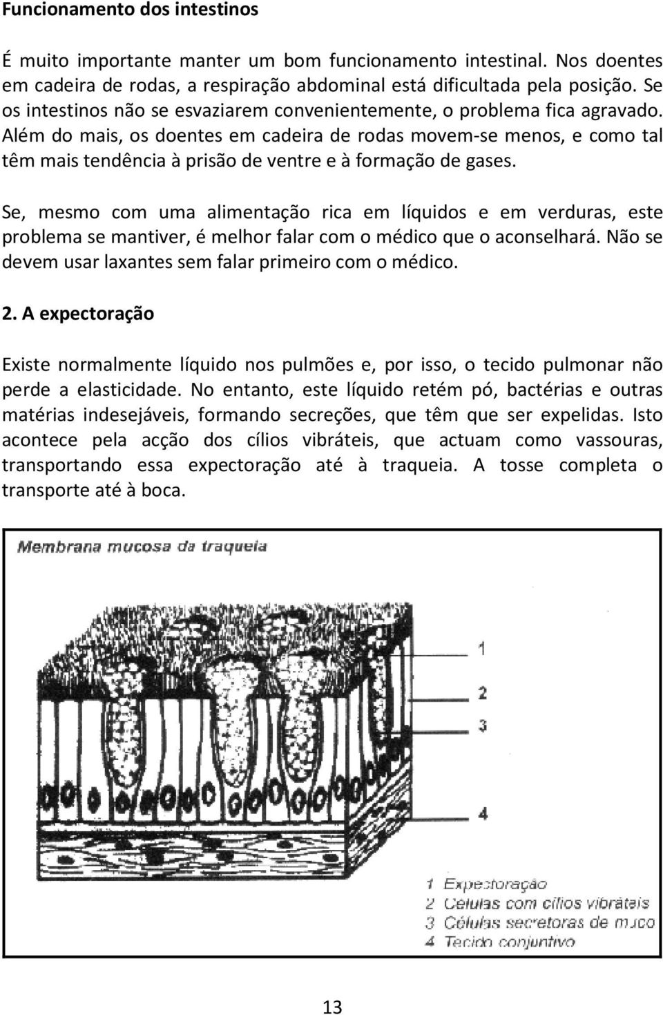 Além do mais, os doentes em cadeira de rodas movem-se menos, e como tal têm mais tendência à prisão de ventre e à formação de gases.