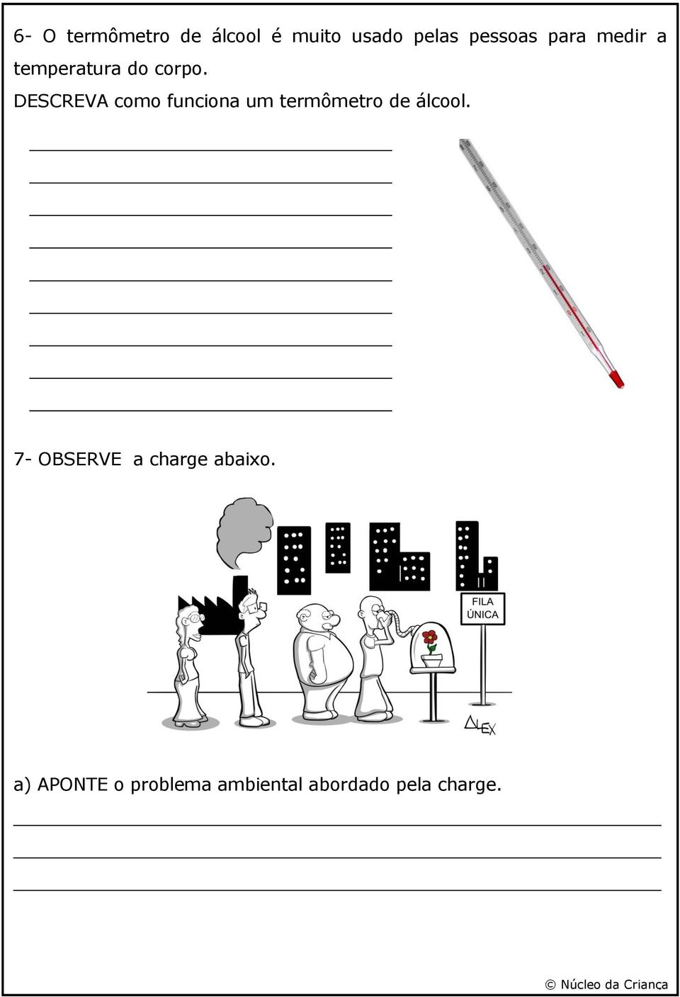 DESCREVA como funciona um termômetro de álcool.