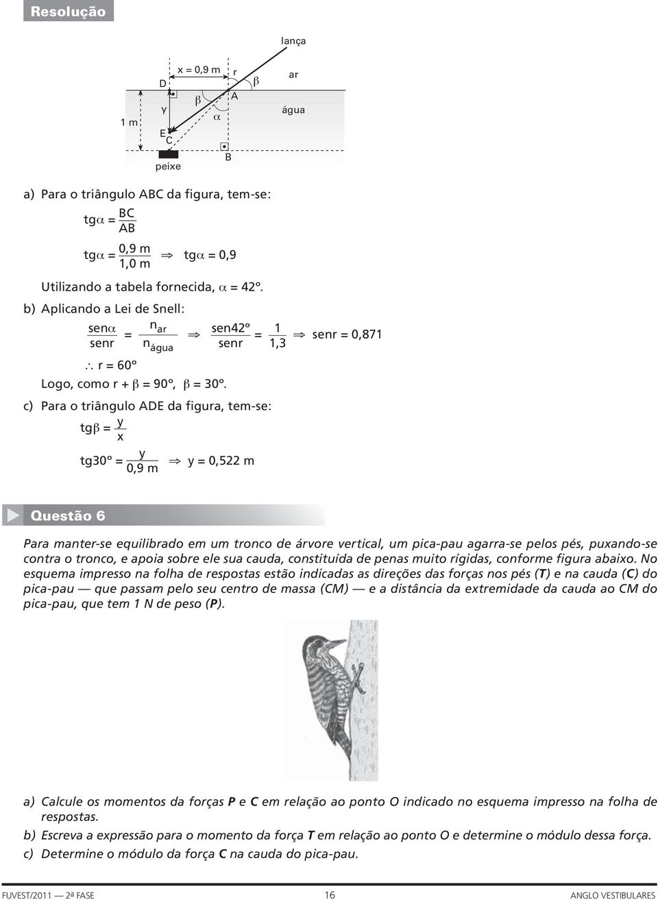 c) Para o triângulo ADE da figura, tem-se: tgβ = y x y tg30º = 0,9 m y = 0,5 m 1 1,3 senr = 0,871 Questão 6 Para manter-se equilibrado em um tronco de árvore vertical, um pica-pau agarra-se pelos