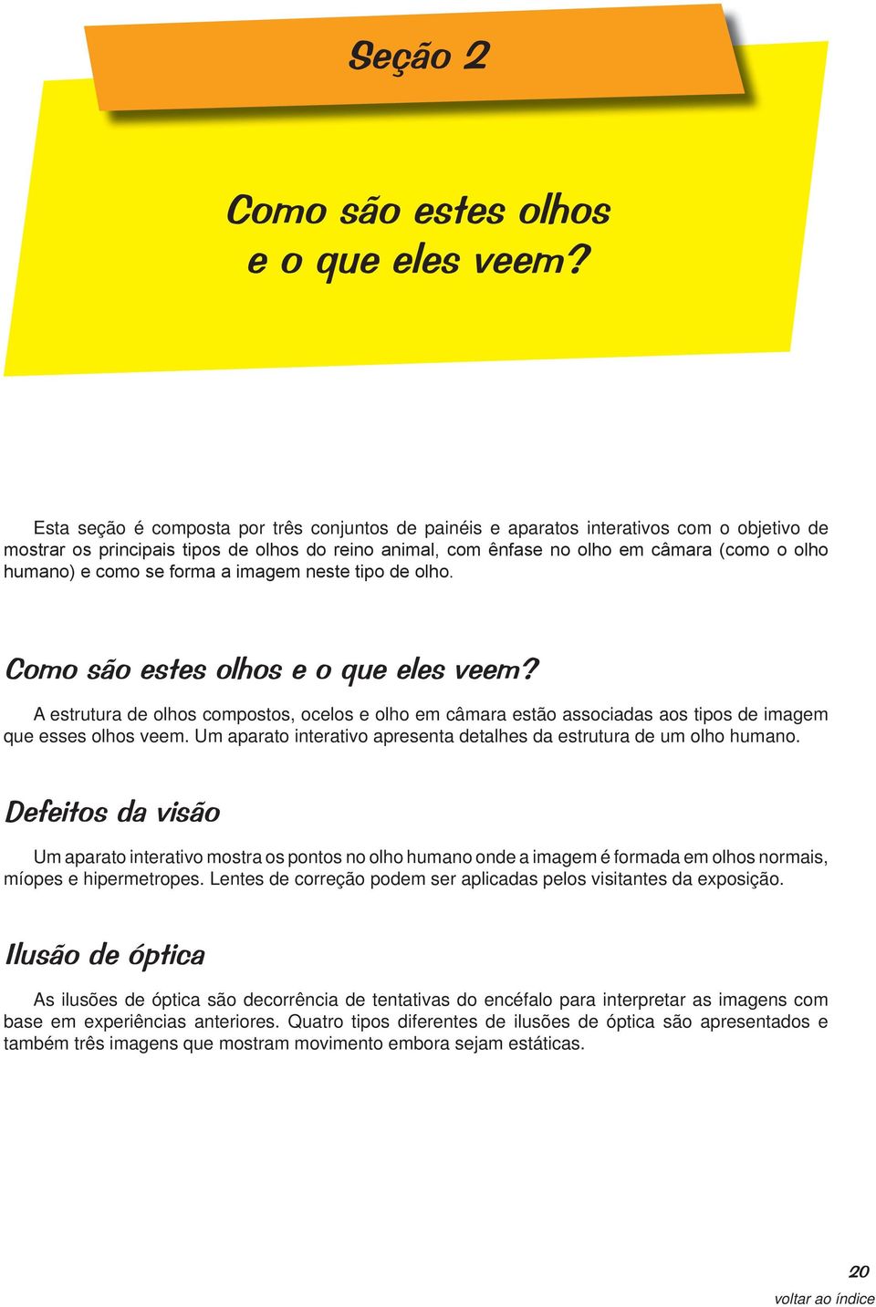 como se forma a imagem neste tipo de olho. Como são estes olhos e o que eles veem? A estrutura de olhos compostos, ocelos e olho em câmara estão associadas aos tipos de imagem que esses olhos veem.