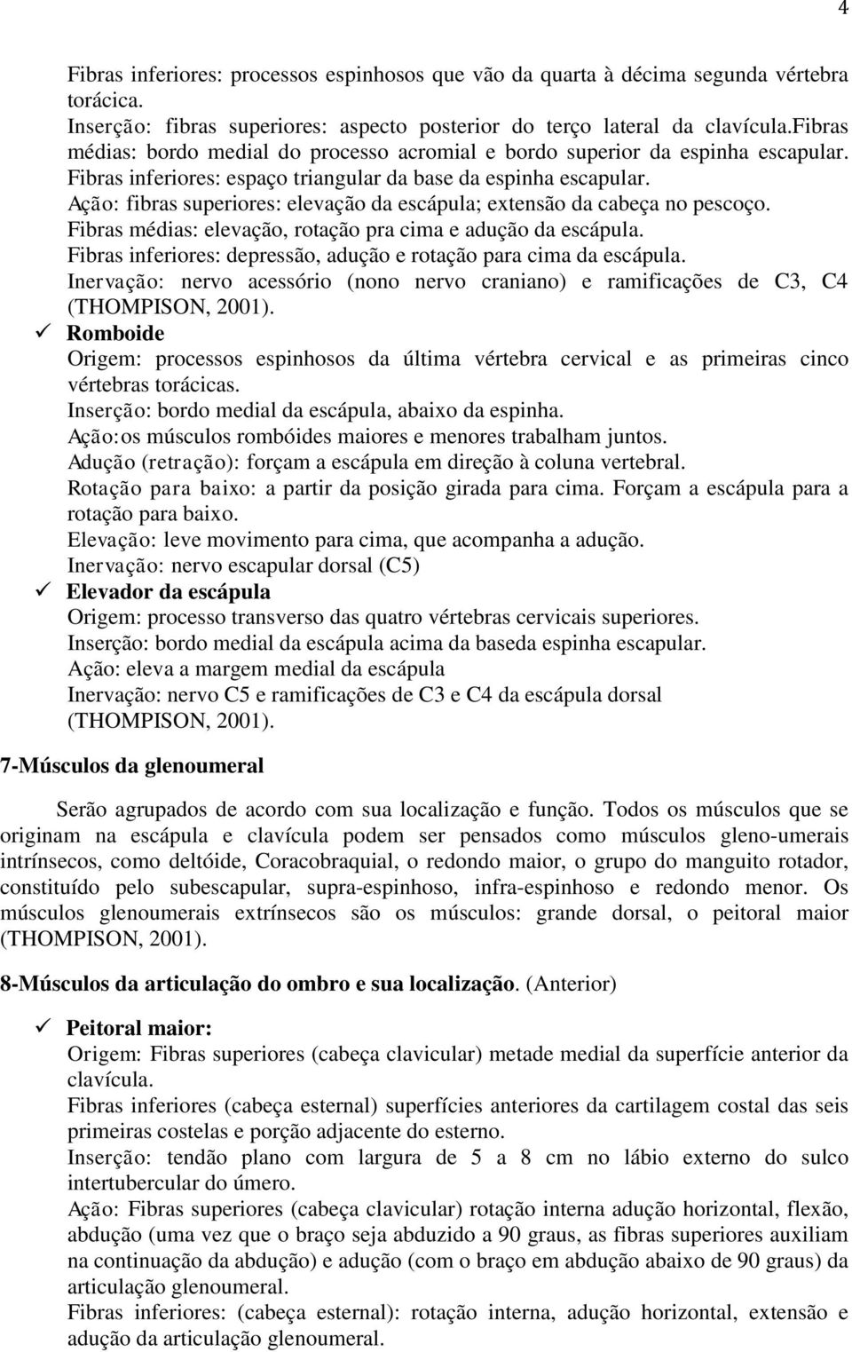 Ação: fibras superiores: elevação da escápula; extensão da cabeça no pescoço. Fibras médias: elevação, rotação pra cima e adução da escápula.