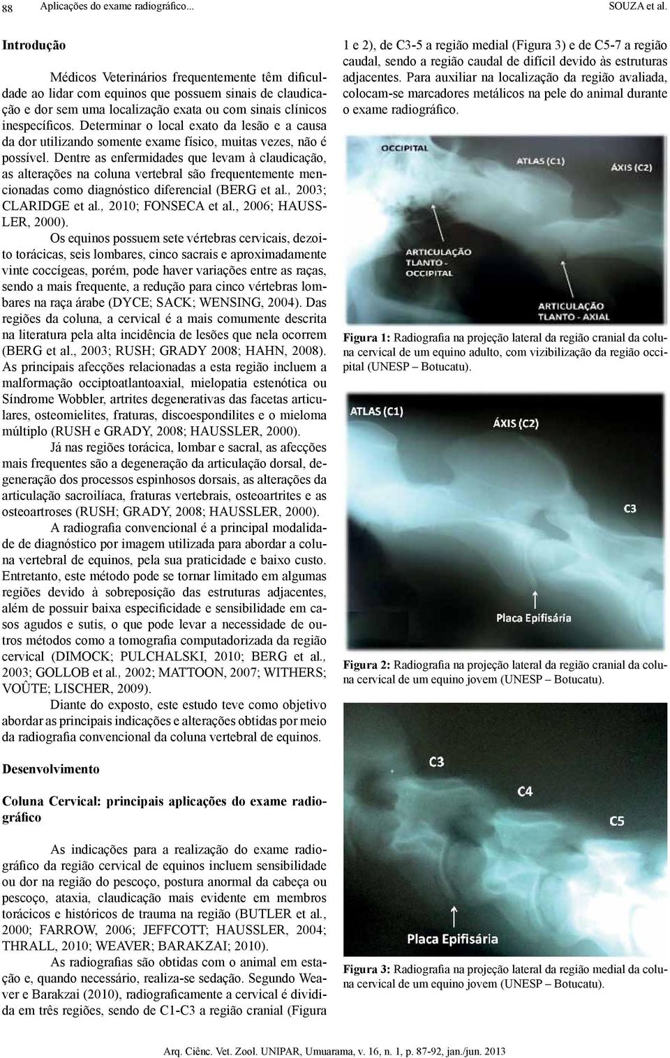 Determinar o local exato da lesão e a causa da dor utilizando somente exame físico, muitas vezes, não é possível.