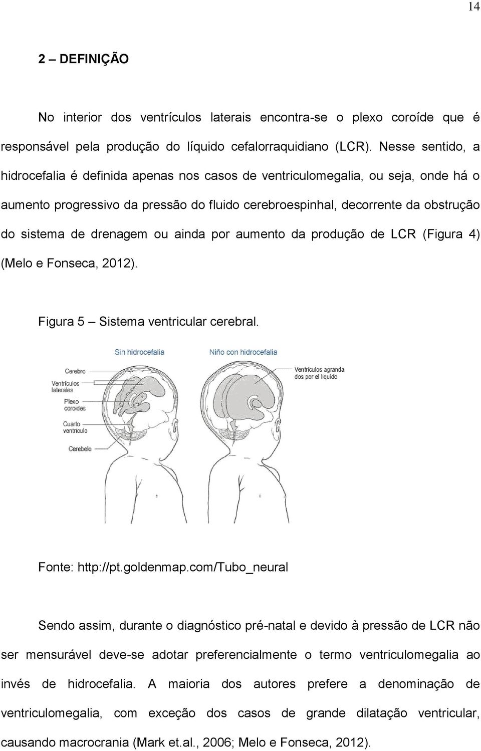 drenagem ou ainda por aumento da produção de LCR (Figura 4) (Melo e Fonseca, 2012). Figura 5 Sistema ventricular cerebral. Fonte: http://pt.goldenmap.
