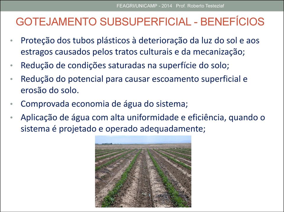 solo; Redução do potencial para causar escoamento superficial e erosão do solo.