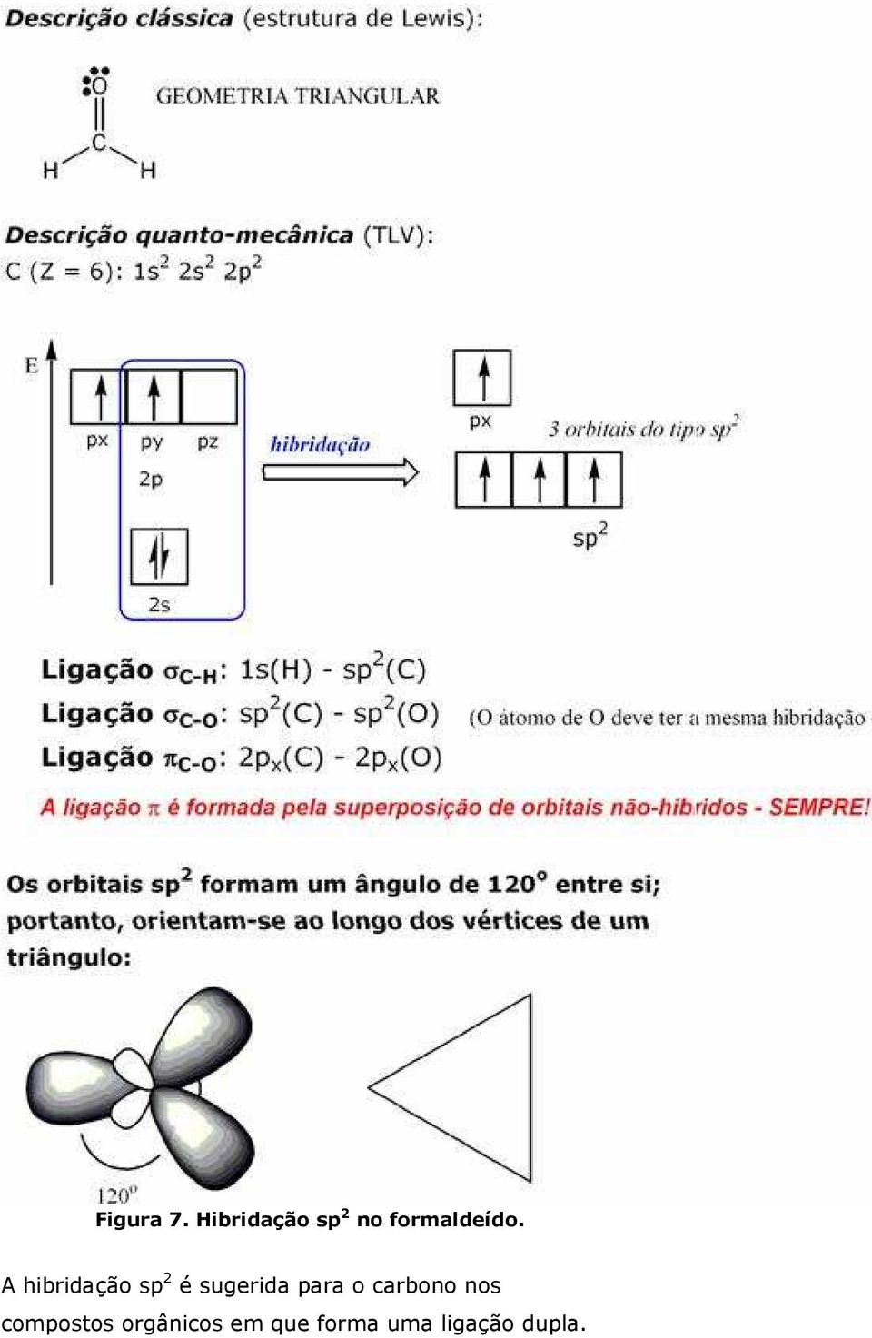 A hibridação sp 2 é sugerida para o