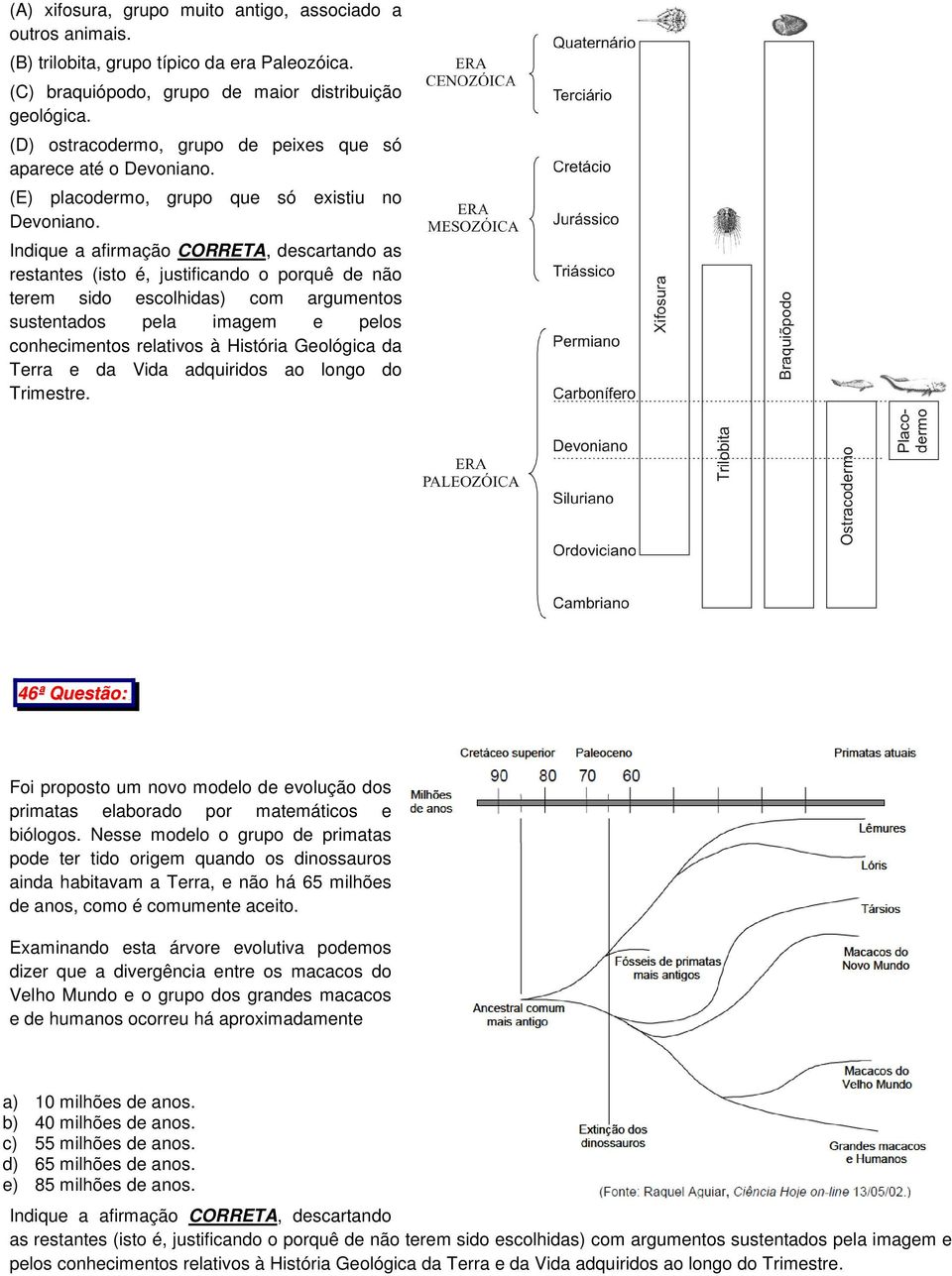 Indique a afirmação CORRETA, descartando as restantes (isto é, justificando o porquê de não terem sido escolhidas) com argumentos sustentados pela imagem e pelos conhecimentos relativos à História